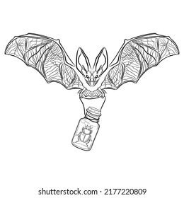 Hand drawn flying bat with a beetle in alchemy glass bottle. Mystical magic creepy vector illustration on white background. Insects. Esoteric signs symbols. Spirituality. Tatoo. Animal spirit art