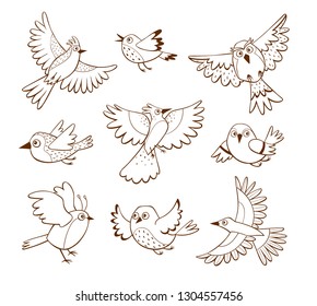 Hand drawn flying birds in different poses, isolated on white background. Vector illustration.