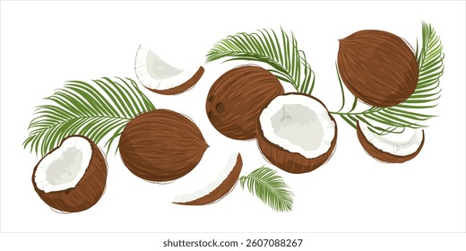 Hand drawn flying coconuts. Banner with falling coconuts and leaves. 