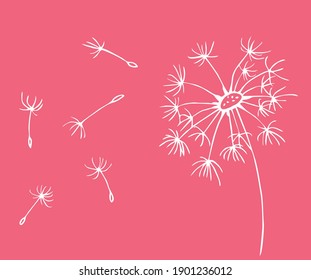 Hand drawn of flying dandelion seeds, vector illustration