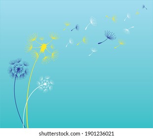 Hand drawn of flying dandelion seeds, vector illustration