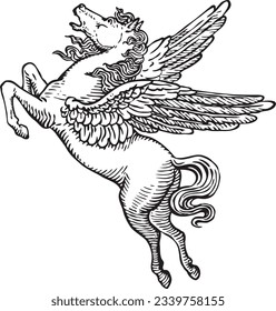 Hand drawn flying pegasus horse with feather wings