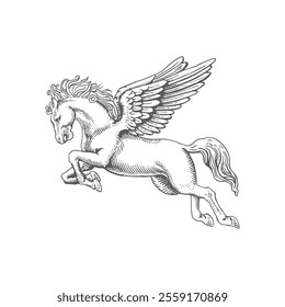 Hand drawn flying pegasus horse with feather wings