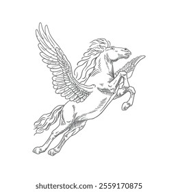 Hand drawn flying pegasus horse with feather wings