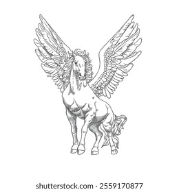 Hand drawn flying pegasus horse with feather wings