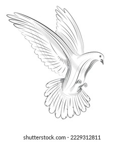 Hand drawn flying pigeon against white background vector illustration