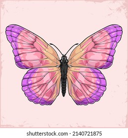 Hand drawn flying pink Butterfly with colorful wings from the top isolated on pink background