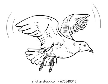 Hand drawn flying seagull