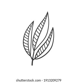 Hand drawn foliage branch vector, twig and leaves, flora