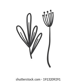 Hand drawn foliage branch vector, twig and leaves, flora