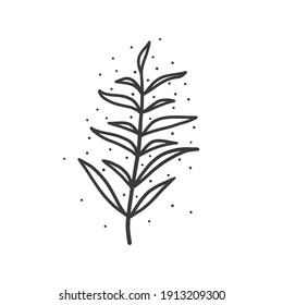 Hand drawn foliage branch vector, twig and leaves, flora