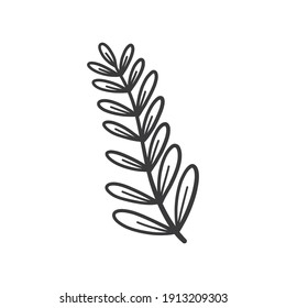 Hand drawn foliage branch vector, twig and leaves, flora