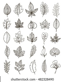 Hand drawn foliage monochrome set with leaves and branches of different shape and structure isolated vector illustration 