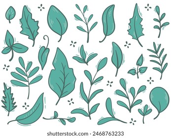Hand drawn foliage, twigs and herbs set