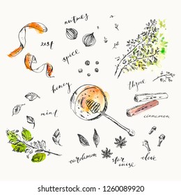 Hand Drawn Food And Drink Illustration. Ink And Watercolor Sketch Of Spices And Herbs For Cooking And Tea. Honey, Orange Zest, Nutmeg, Cinnamon, Mint, Star Anise, Cardamom, Peppercorn, Clove, Thyme.