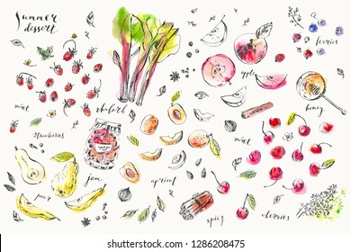 Hand drawn food and drink illustration. Ink and watercolor sketch of garden berries and fruits, spices, herbs for cooking and tea. Strawberry, cherry, apple, pear, rhubarb, apricot, cinnamon, thyme.