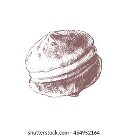 Hand drawn food illustration on white background. Cookie. Vector