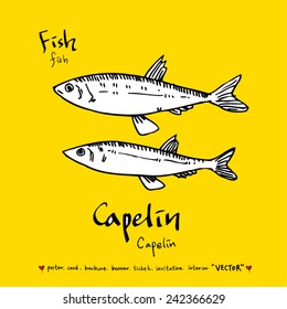 Hand drawn food ingredients / food menu illustrations