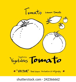 Hand drawn food ingredients / food menu illustrations