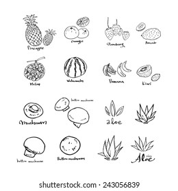Hand drawn food ingredients / food menu illustrations