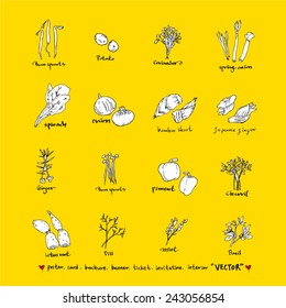 Hand drawn food ingredients / food menu illustrations