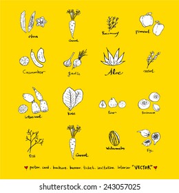 Hand drawn food ingredients / food menu illustrations