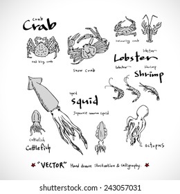 Hand drawn food ingredients / food menu illustrations