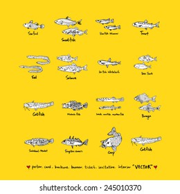 Hand drawn food ingredients / food menu illustrations