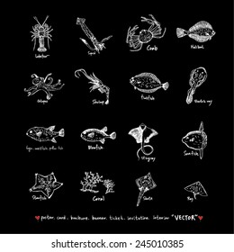 Hand drawn food ingredients / food menu illustrations / blackboard version 