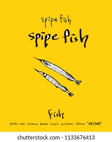 Hand drawn food ingredients - sea food menu illustrations - vector