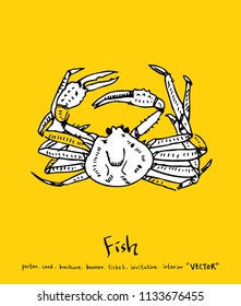 Hand drawn food ingredients - sea food menu illustrations - vector