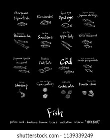 Hand drawn food ingredients - sea food menu illustrations - vector