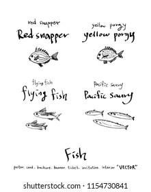 Hand drawn food ingredients - sea food menu illustrations - vector