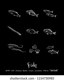 Hand drawn food ingredients - sea food menu illustrations - vector