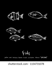 Hand drawn food ingredients - sea food menu illustrations - vector