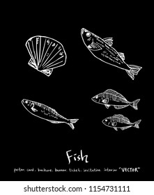 Hand drawn food ingredients - sea food menu illustrations - vector
