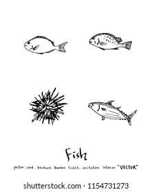 Hand drawn food ingredients - sea food menu illustrations - vector