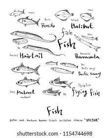 Hand drawn food ingredients - sea food menu illustrations - vector