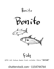 Hand drawn food ingredients - sea food menu illustrations - vector