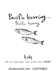 Hand drawn food ingredients - sea food menu illustrations - vector