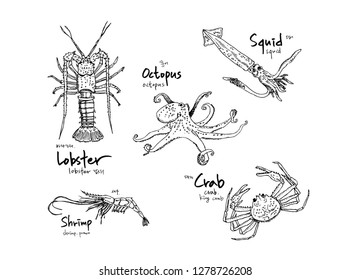Hand drawn food ingredients - sea food menu illustrations - vector