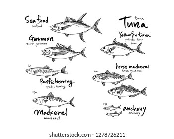 Hand drawn food ingredients - sea food menu illustrations - vector