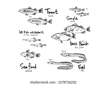 Hand drawn food ingredients - sea food menu illustrations - vector