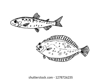Hand drawn food ingredients - sea food menu illustrations - vector