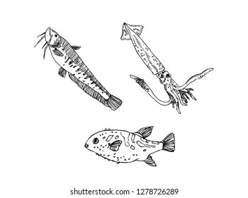 Hand drawn food ingredients - sea food menu illustrations - vector