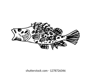 Hand drawn food ingredients - sea food menu illustrations - vector