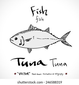 Hand drawn food ingredients - seafood illustrations - vector