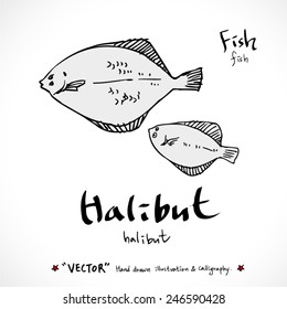 Hand drawn food ingredients - seafood illustrations - vector