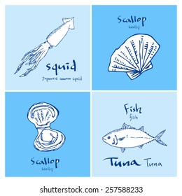 Hand drawn food ingredients - seafood illustrations - vector