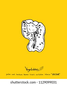 Hand drawn food ingredients - vegetable and fruit illustrations - vector